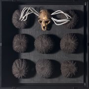 Skulls-black_web